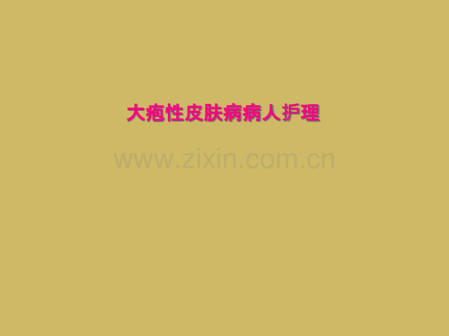 大疱性皮肤病病人护理.ppt_第2页