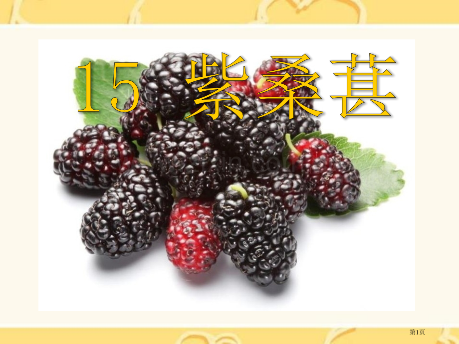 紫桑葚课件省公开课一等奖新名师优质课比赛一等奖课件.pptx_第1页