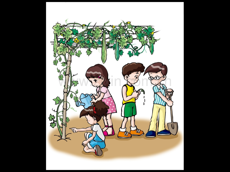 3水分在茎里的运输专题培训课件.ppt_第1页