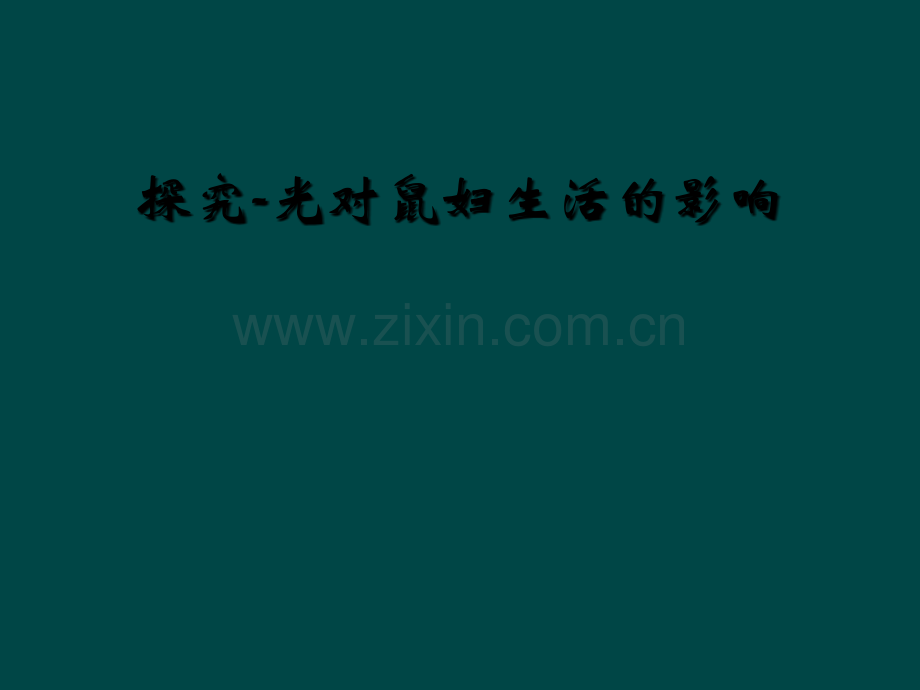 探究-光对鼠妇生活的影响.ppt_第1页