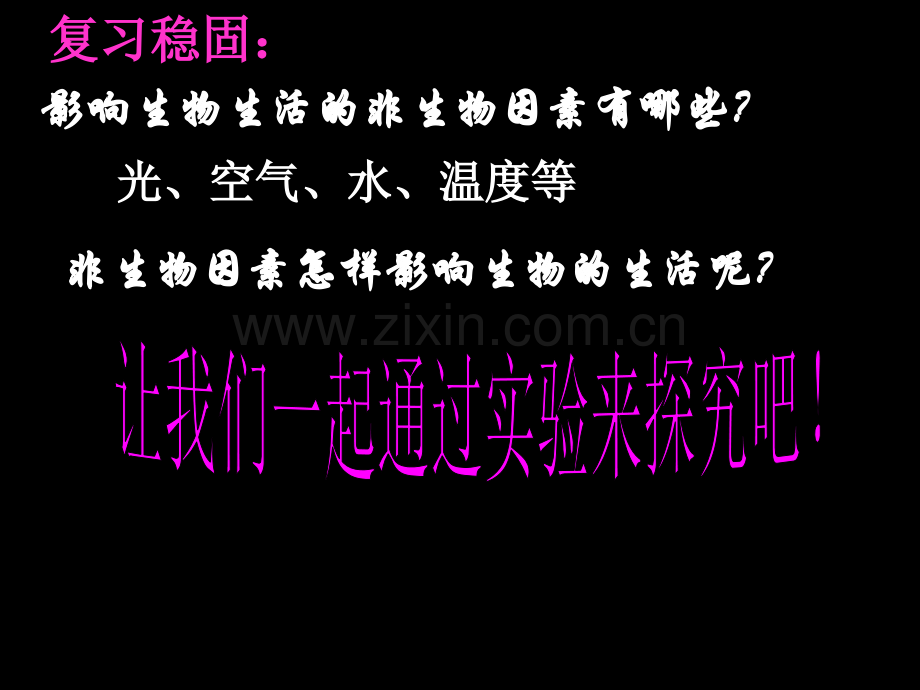 探究-光对鼠妇生活的影响.ppt_第2页