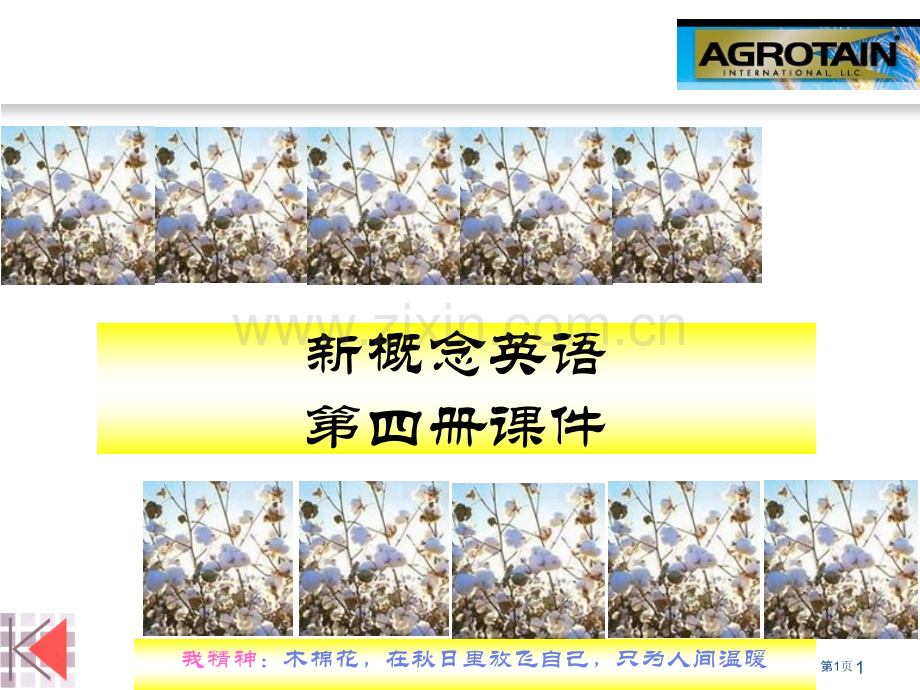 新概念英语第四册省公共课一等奖全国赛课获奖课件.pptx_第1页