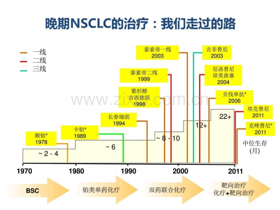 肺癌的分子靶向治疗.ppt_第2页