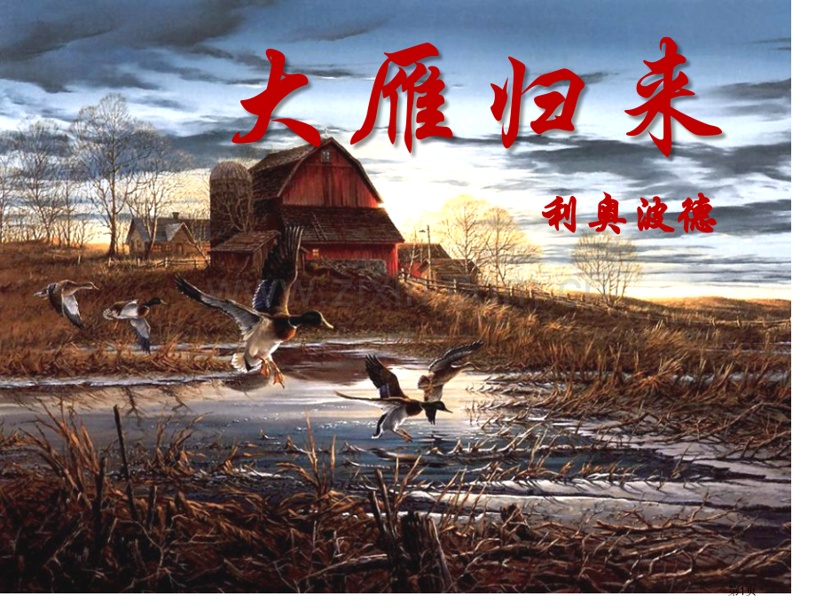 大雁归来省公共课一等奖全国赛课获奖课件.pptx_第1页