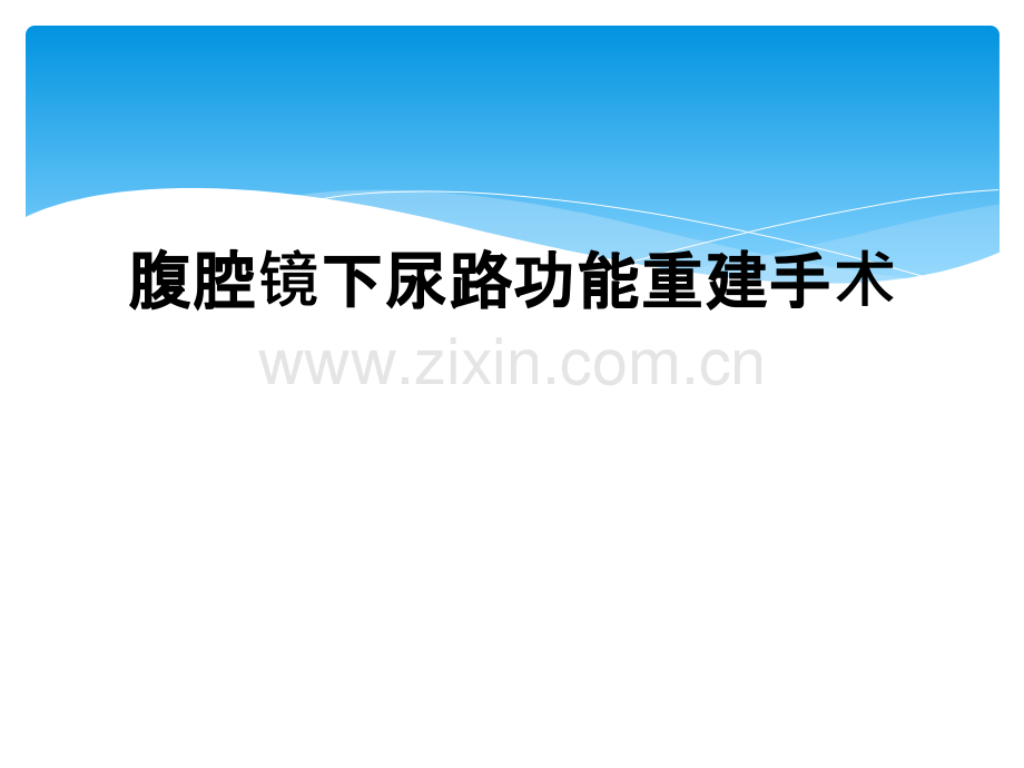 腹腔镜下尿路功能重建手术.ppt_第1页