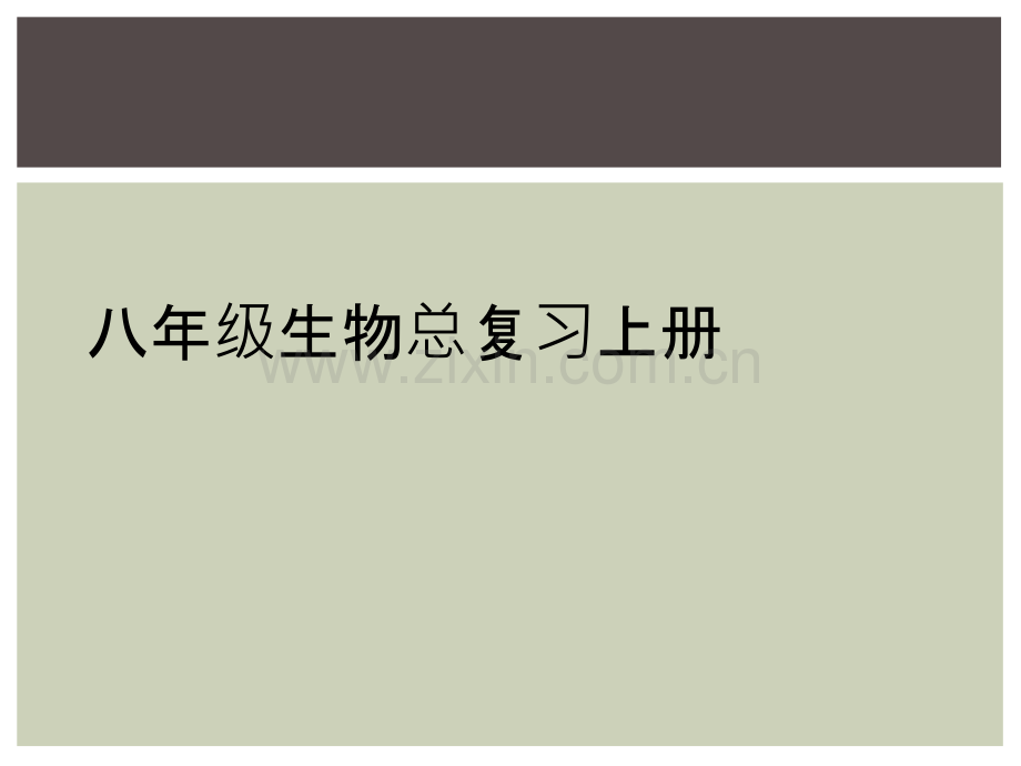 八年级生物总复习上册.ppt_第1页