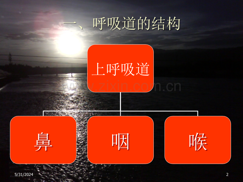 老年人冬季呼吸道疾病防治研究.ppt_第2页