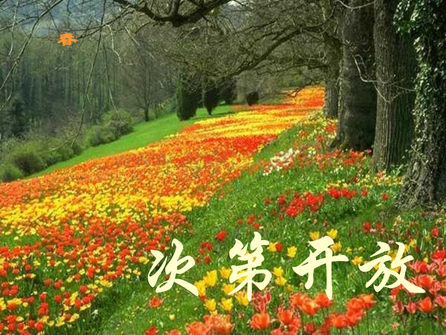 八年级语文大自然的语言教学.ppt_第2页