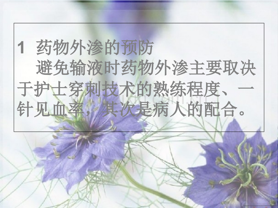 高危药物输液时外渗的预防和处理.ppt_第2页