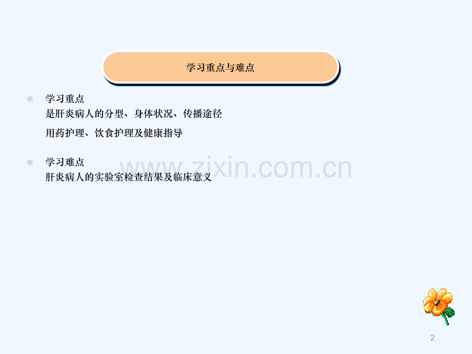 肝炎患者如何治疗和护理.ppt_第2页