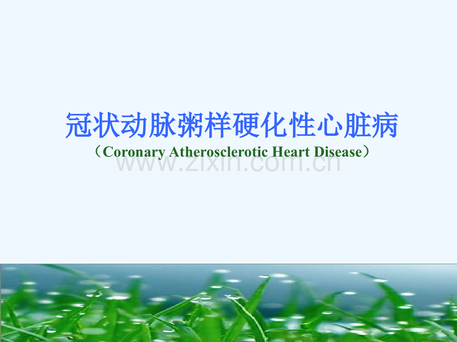 冠心病心绞痛概论.ppt_第2页