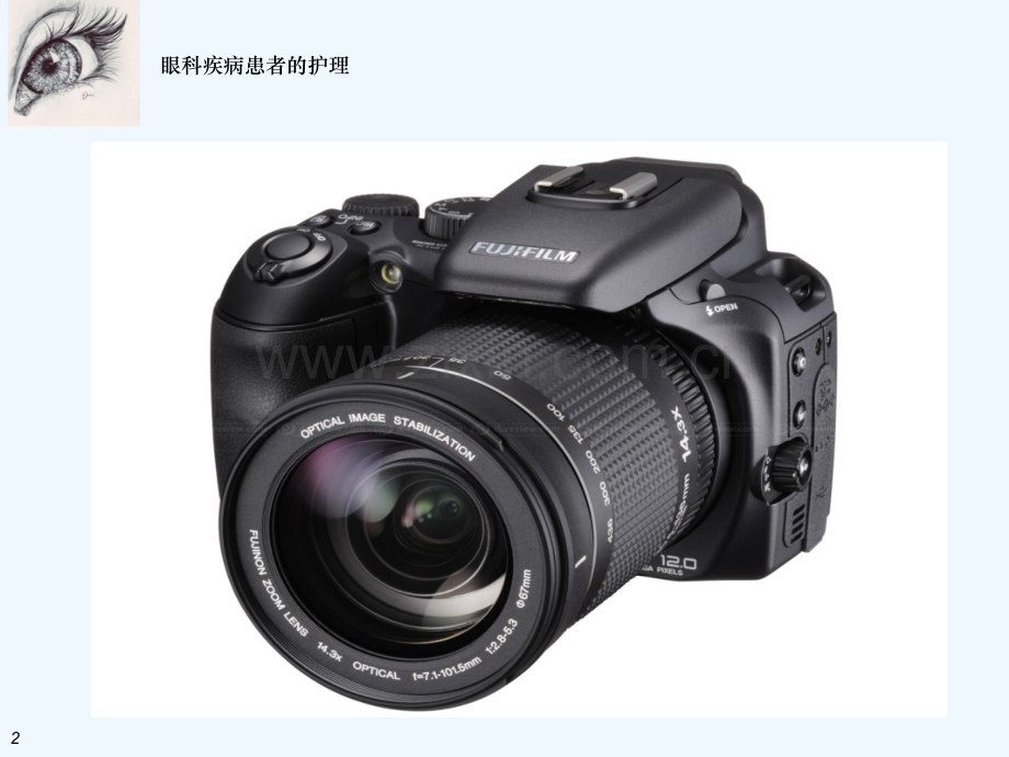 角膜炎患者的护理.ppt_第2页