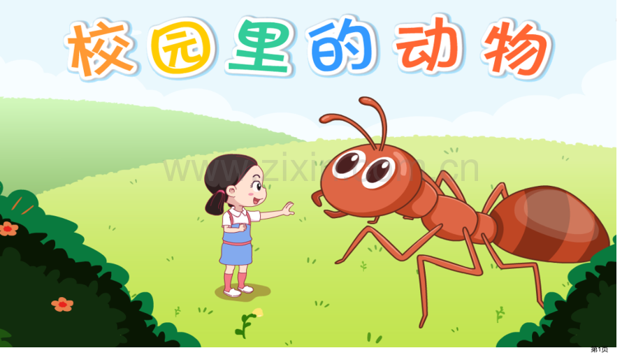校园里的动物教学课件省公开课一等奖新名师优质课比赛一等奖课件.pptx_第1页