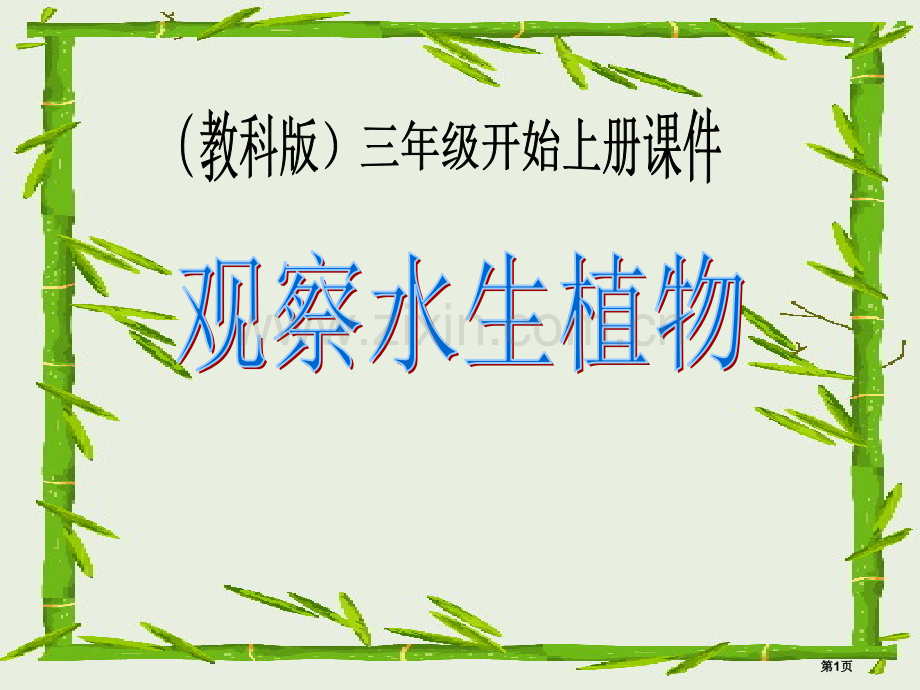 水生植物植物.pptx_第1页