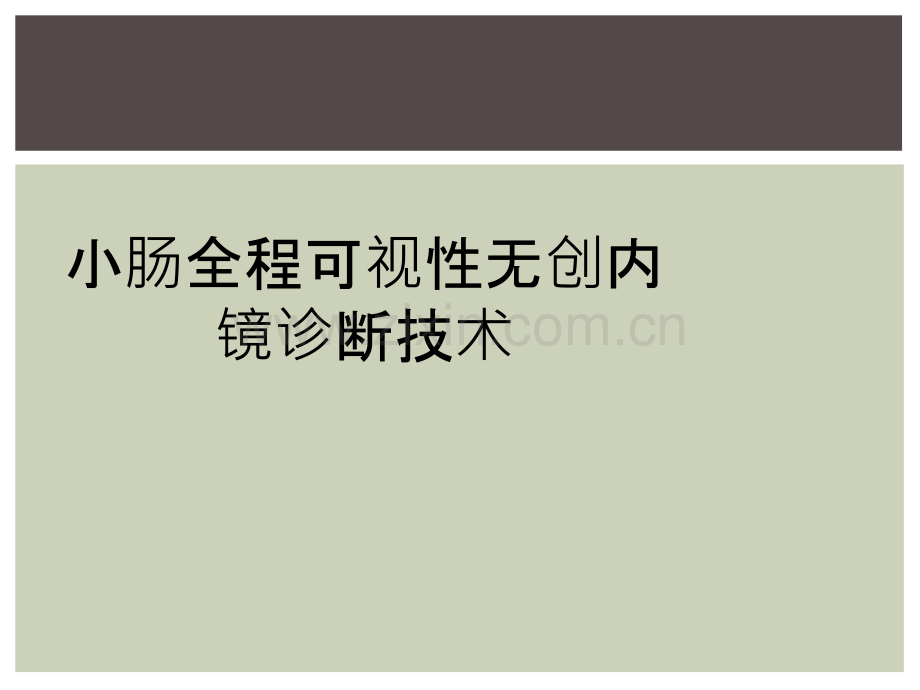 小肠全程可视性无创内镜诊断技术.ppt_第1页