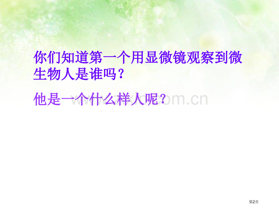 看门人的魔镜省公开课一等奖新名师优质课比赛一等奖课件.pptx_第2页