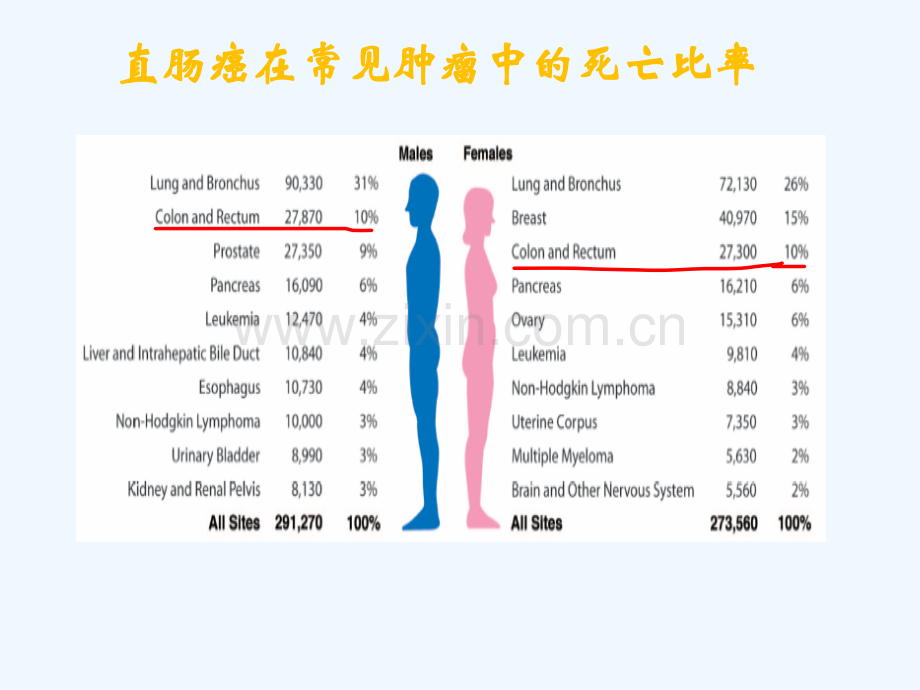 直肠癌的新辅助治疗何秋山.pptx_第2页