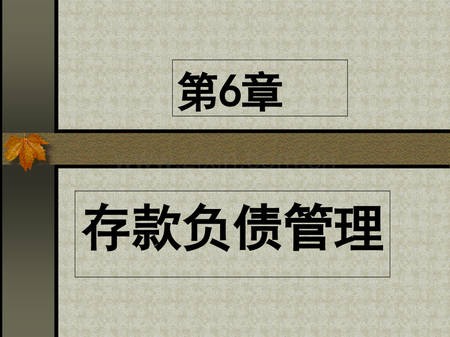 存款负债管理.ppt_第1页