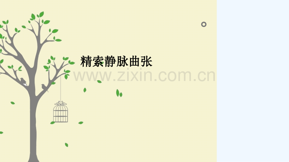 精索静脉曲张诊断治疗及护理.ppt_第2页