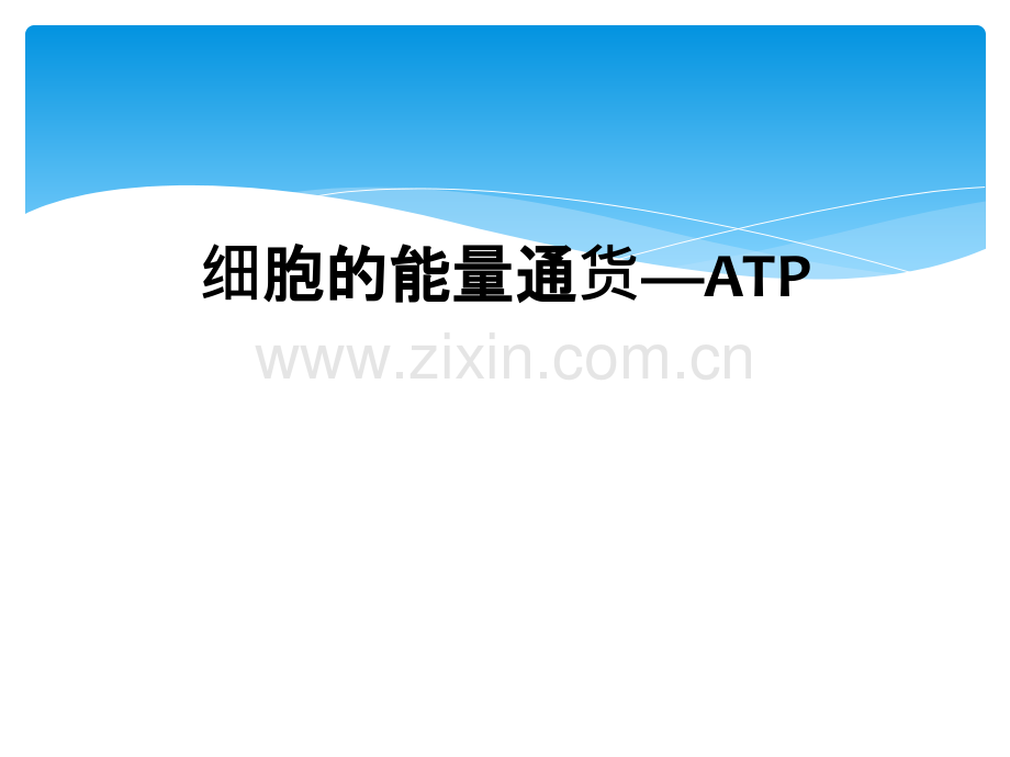 细胞的能量通货—ATP.ppt_第1页