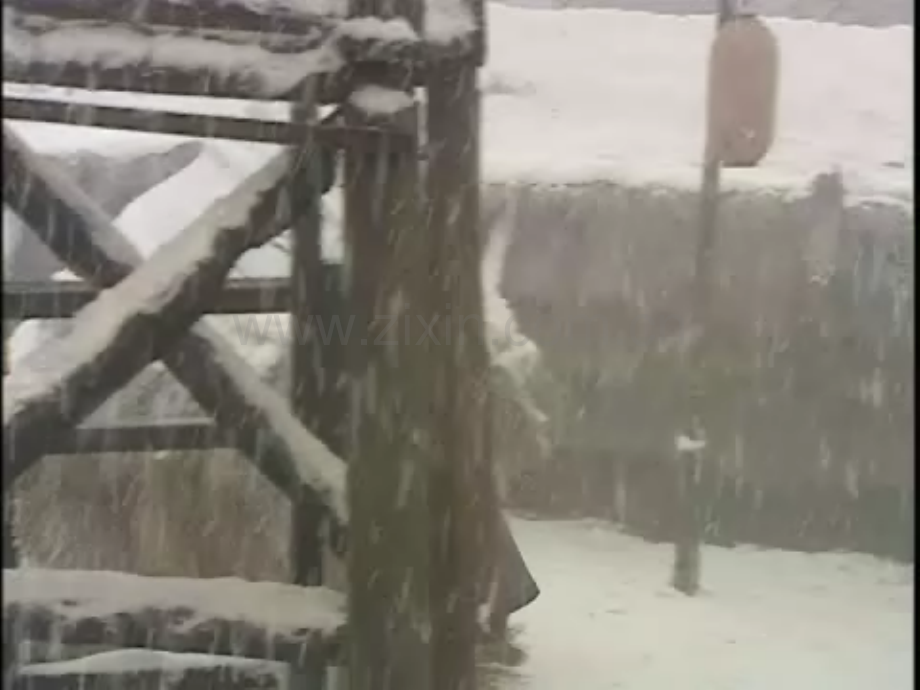 林教头风雪山神庙.ppt_第2页