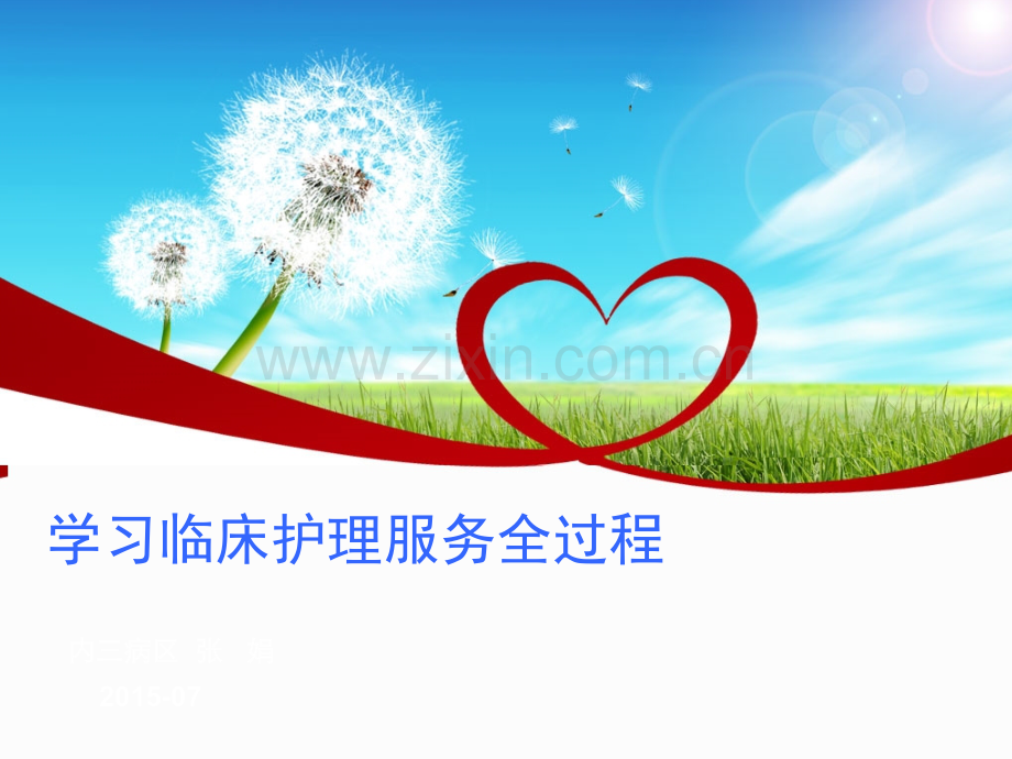 护理服务全过程在临床护理.ppt_第2页