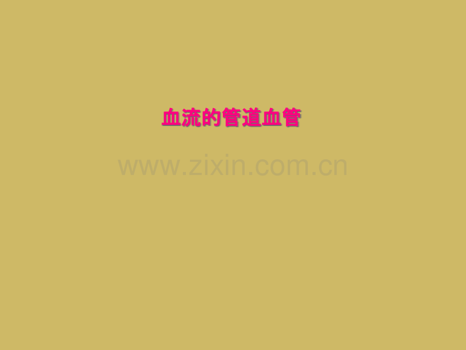 血流的管道血管.pptx_第1页