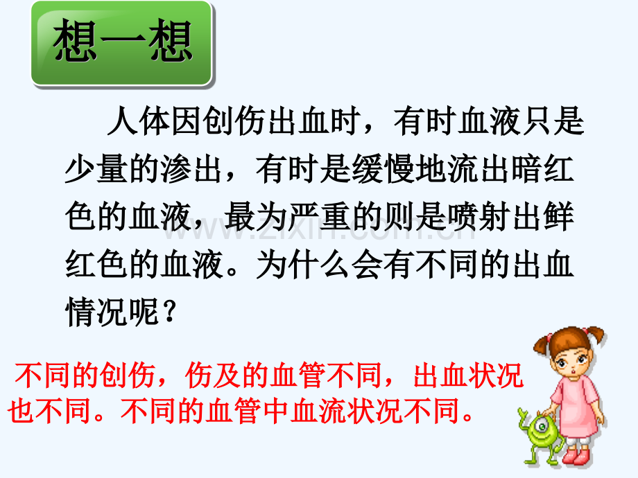 血流的管道血管.pptx_第2页