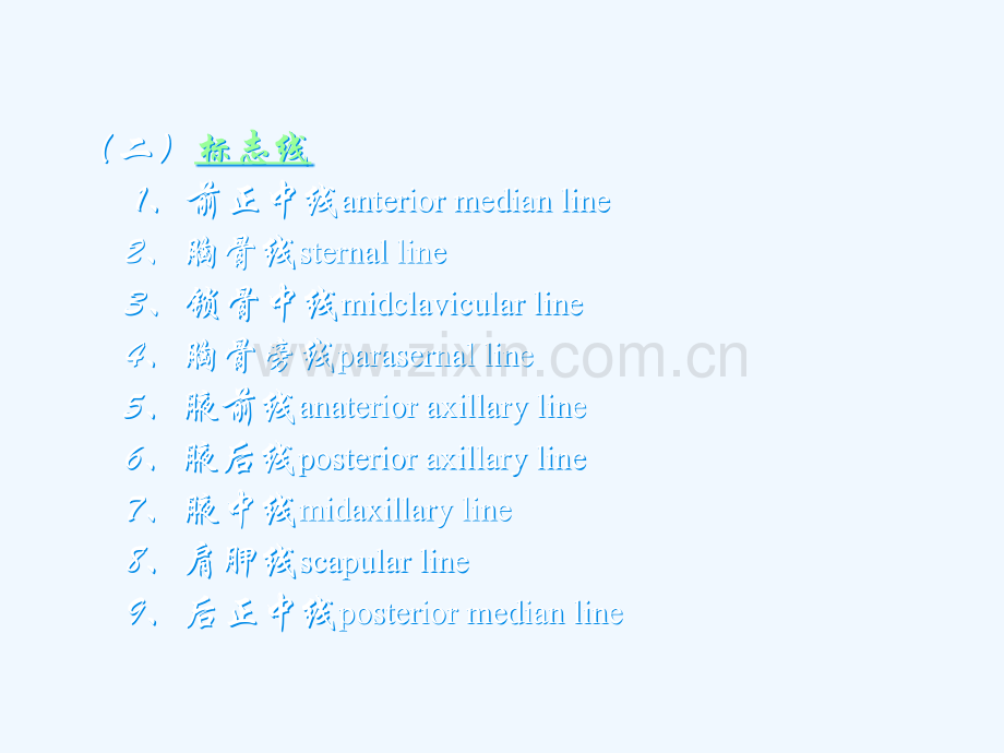 局部解剖学胸部课件.pptx_第2页