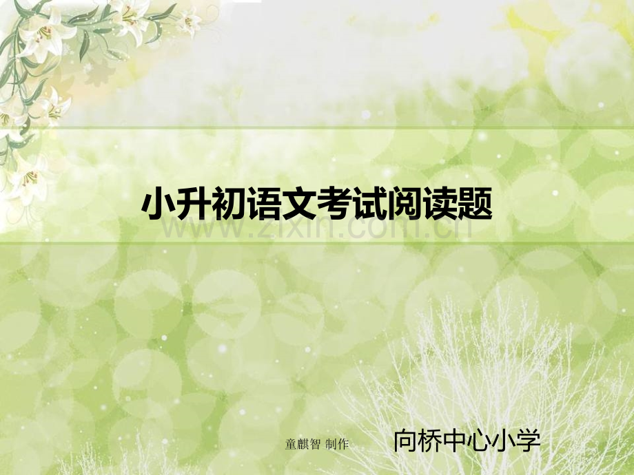 小升初语文考试阅读辅导(优秀).pptx_第2页