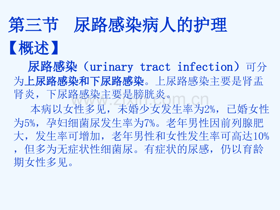 尿路感染的护理ppt.ppt_第2页