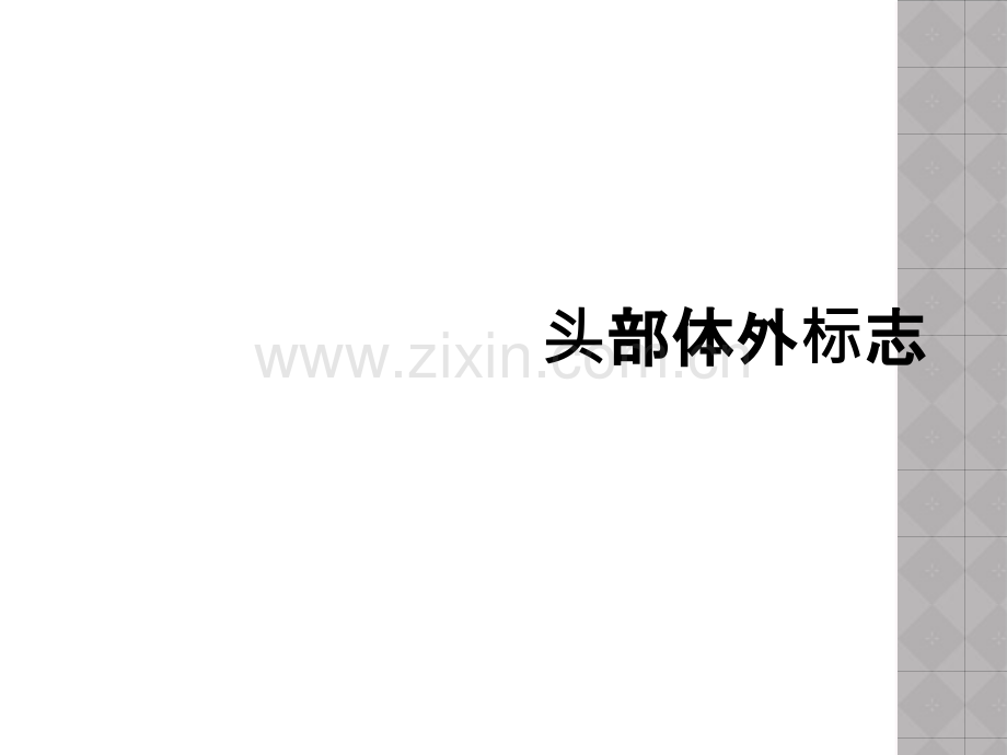 头部体外标志.ppt_第1页