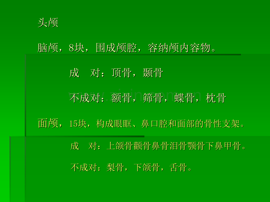 头部体外标志.ppt_第2页