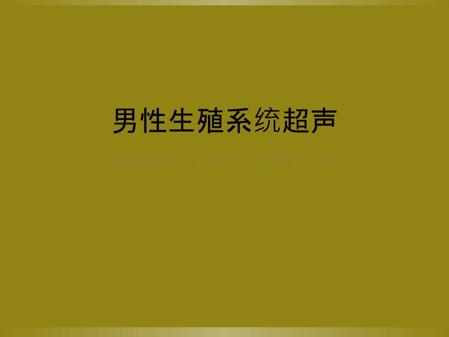 男性生殖系统超声.ppt_第1页
