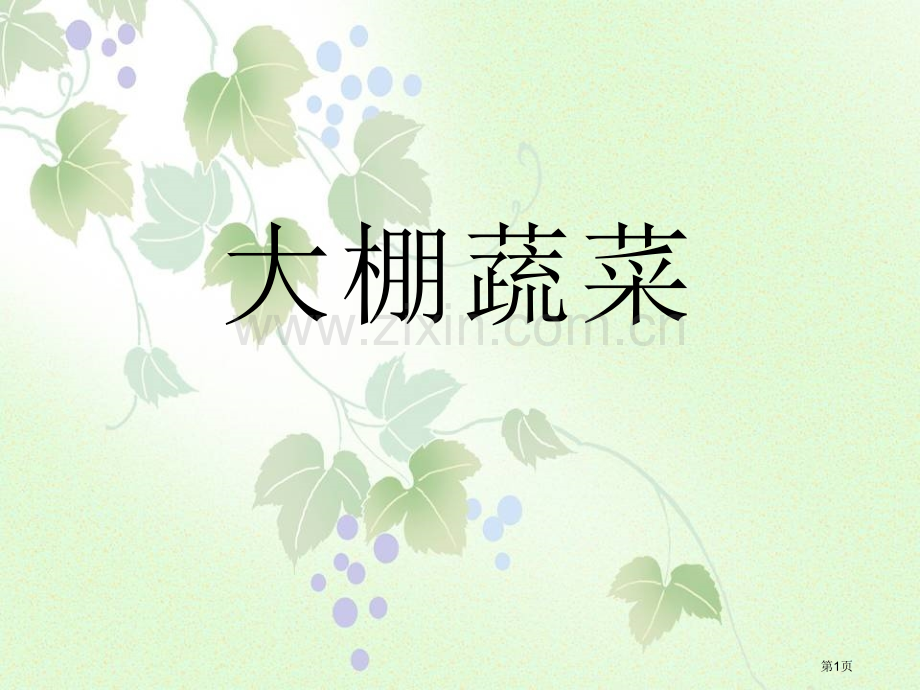 大棚蔬菜农田省公开课一等奖新名师优质课比赛一等奖课件.pptx_第1页