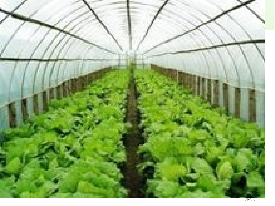 大棚蔬菜农田省公开课一等奖新名师优质课比赛一等奖课件.pptx_第2页