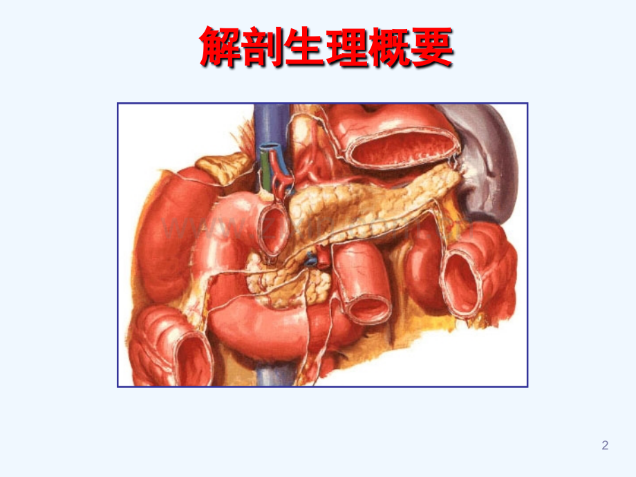 胰腺疾病讲解课件.ppt_第2页