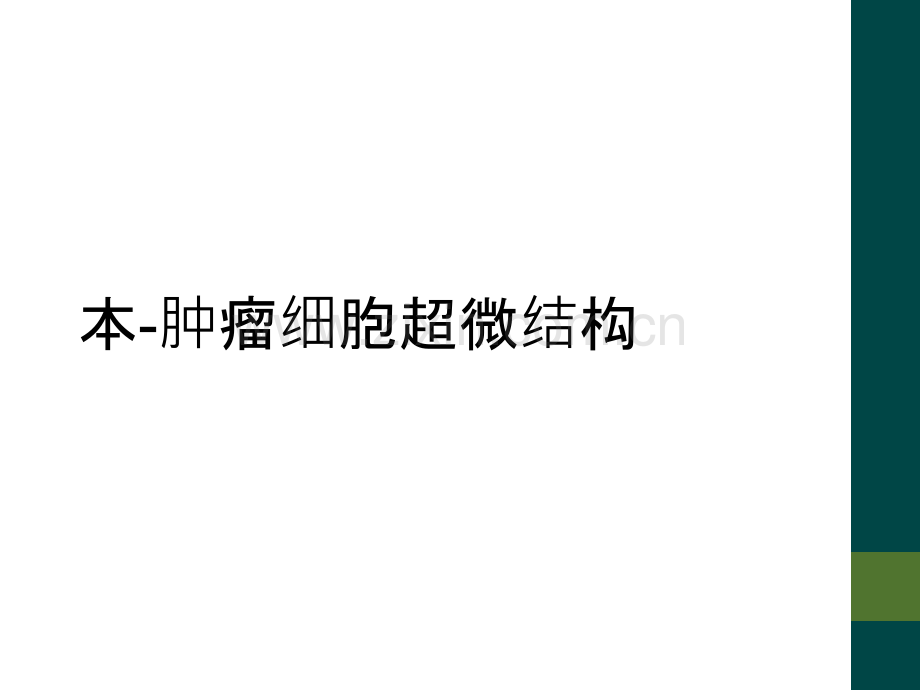 本-肿瘤细胞超微结构.ppt_第1页