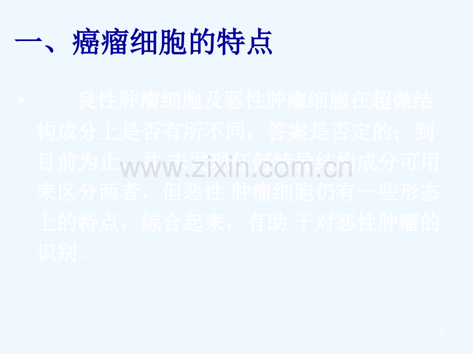 本-肿瘤细胞超微结构.ppt_第2页
