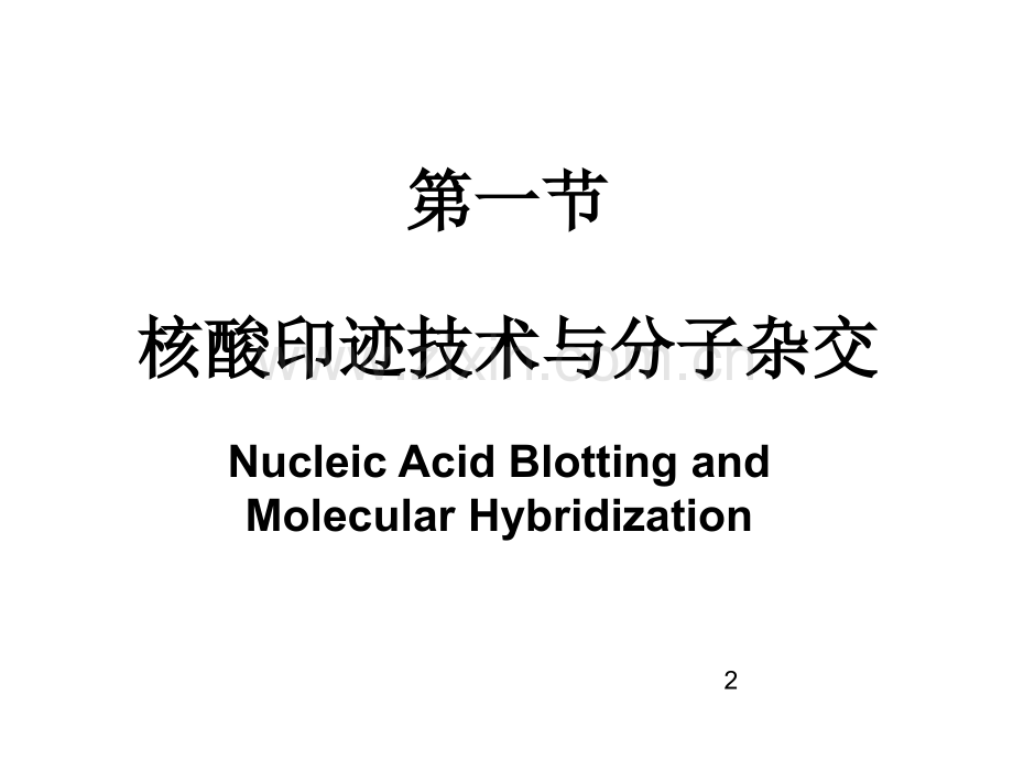 医学DNA基本技术PPT培训课件.ppt_第2页
