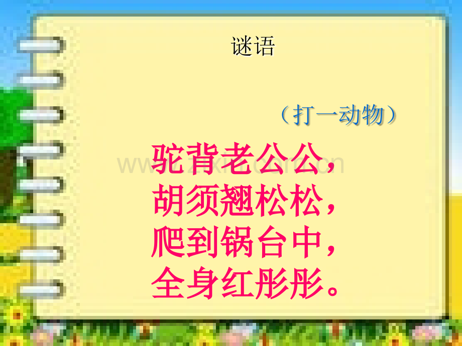 北师大版三年级语文下册《小虾》PPT课件新.ppt_第2页