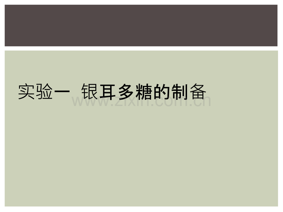 实验一--银耳多糖的制备.ppt_第1页