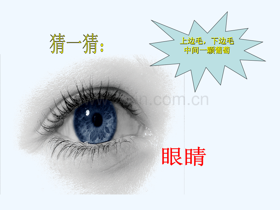 小学生预防近视课件.ppt_第2页