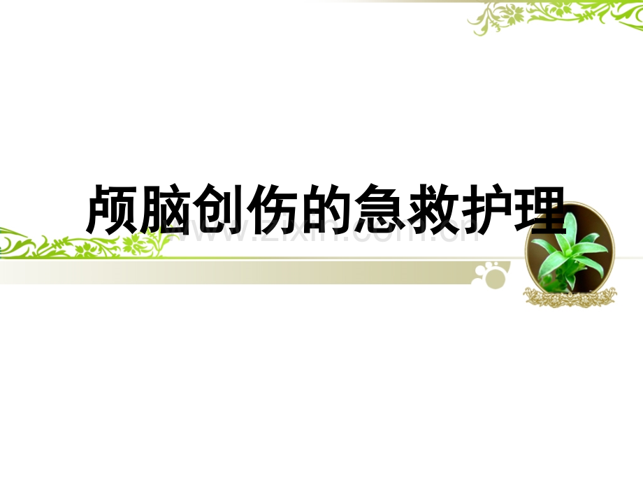颅脑创伤急救护理PPT课件.ppt_第1页
