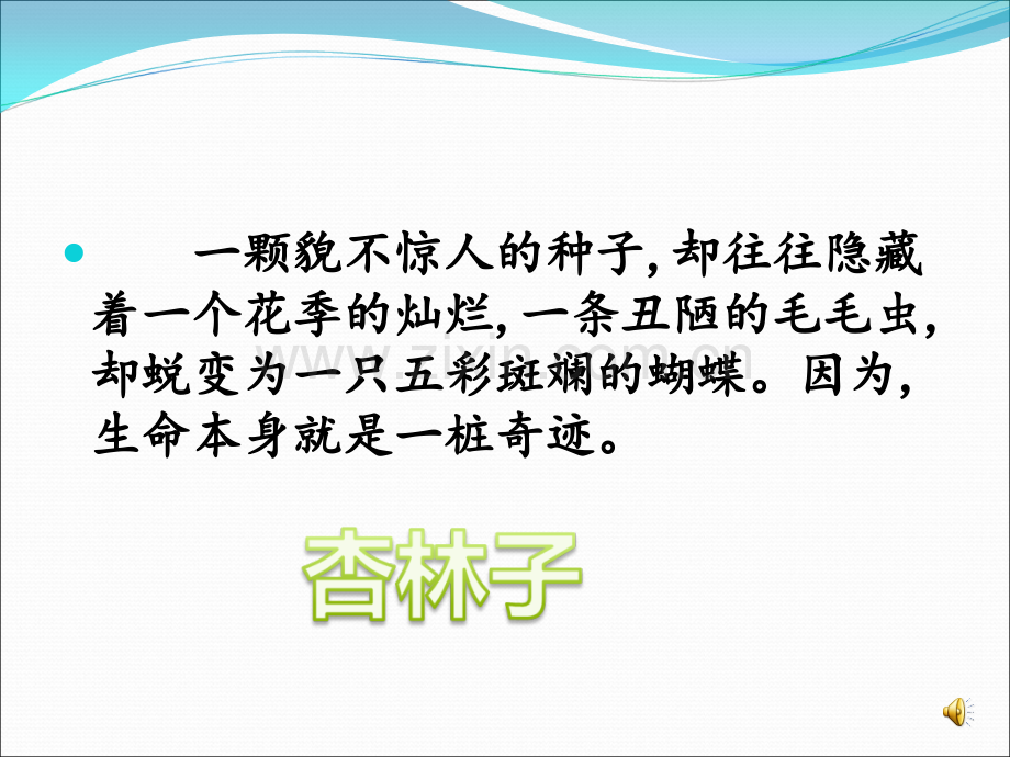 18.生命生命专题培训课件.ppt_第2页