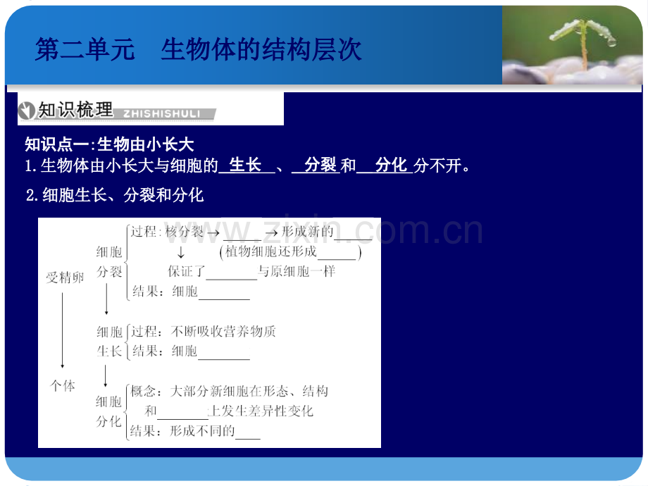 201715版导与练中考总复习生物人教复习课件第三讲细胞怎样构成生物体.ppt_第2页