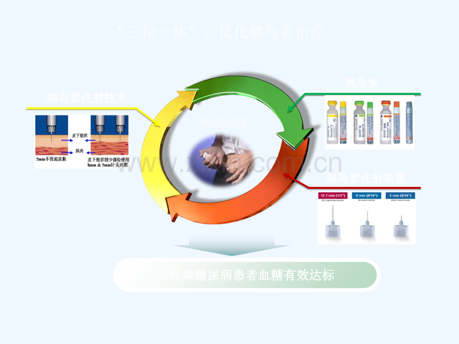 三位一体优化胰岛素治疗方案.ppt_第2页