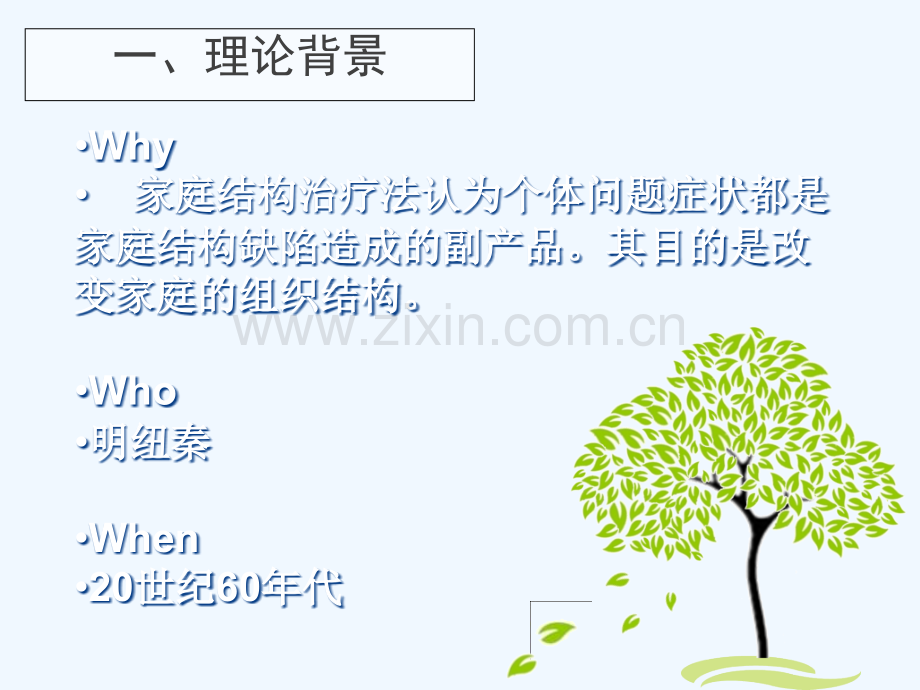 第九章结构家庭治疗模式.ppt_第2页