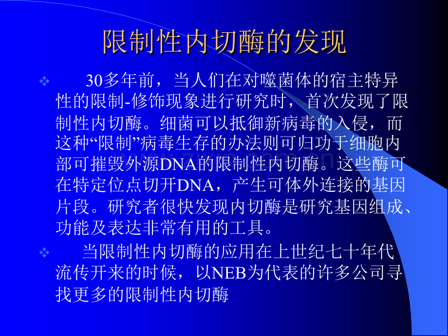 限制性内切酶的应用.ppt_第2页
