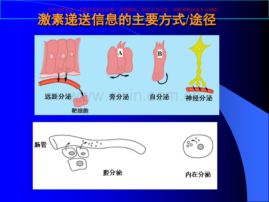 内分泌专题培训培训课件.ppt_第2页